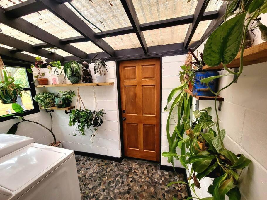 Вилла Cozy Af Jungle-House Hideaway Тампа Экстерьер фото