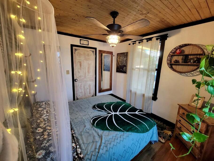 Вилла Cozy Af Jungle-House Hideaway Тампа Экстерьер фото